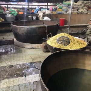 3 learnings from the visit to the Golden Temple of Amritsar’s Largest Free Kitchen in the world